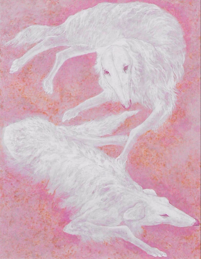 Animal