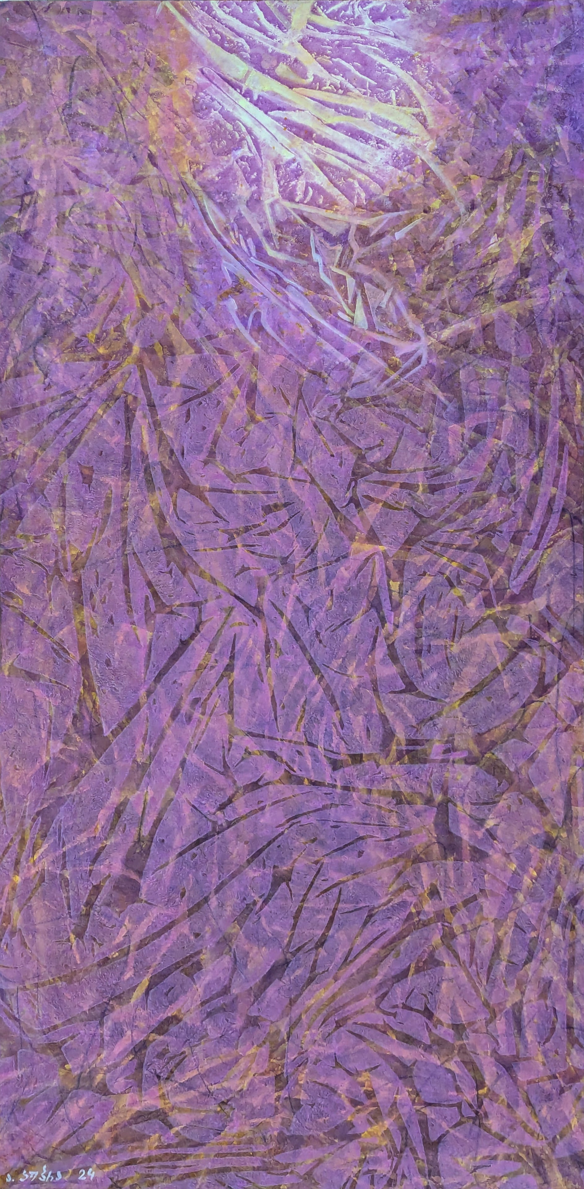 Seaweed