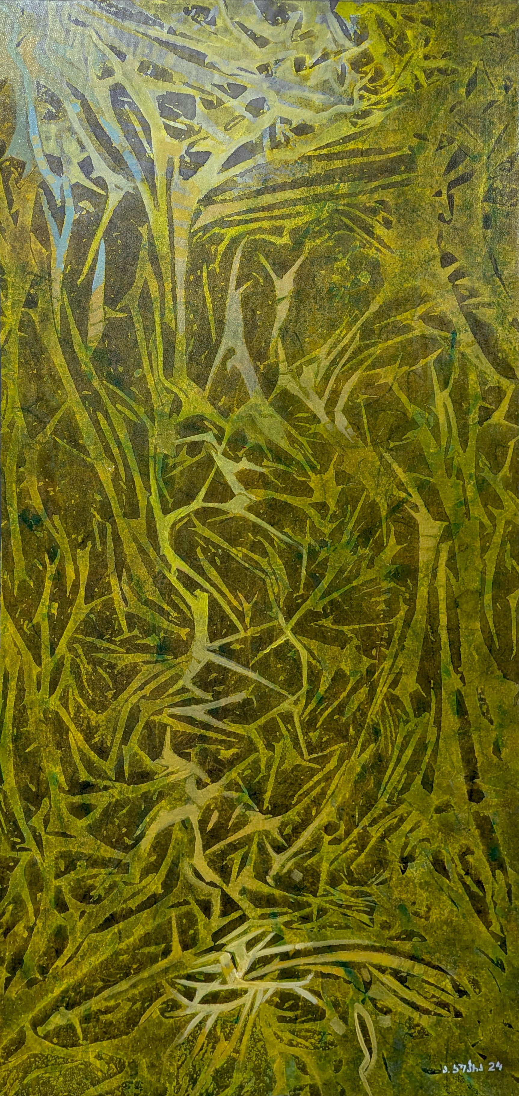 Seaweed