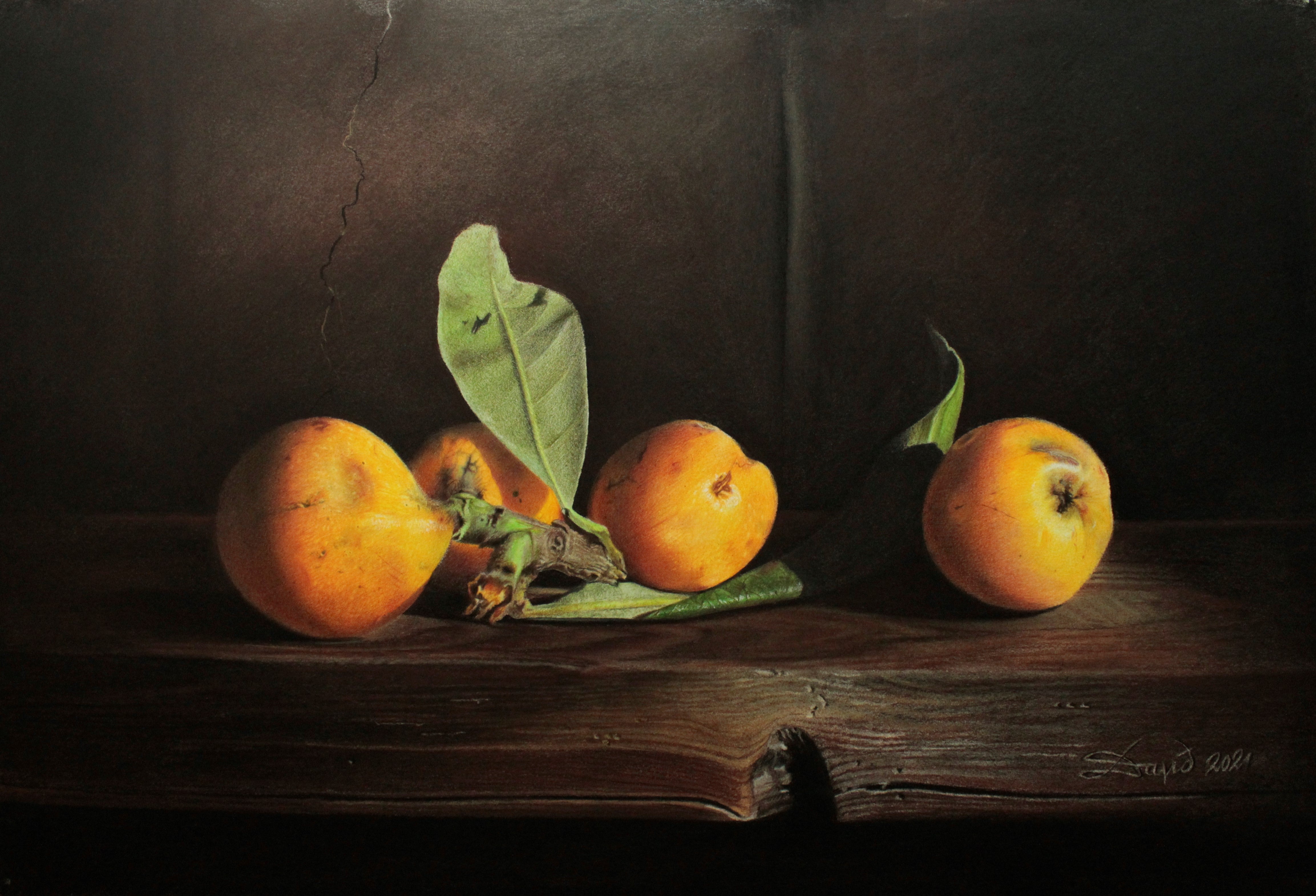 Still Life by Davit Telia